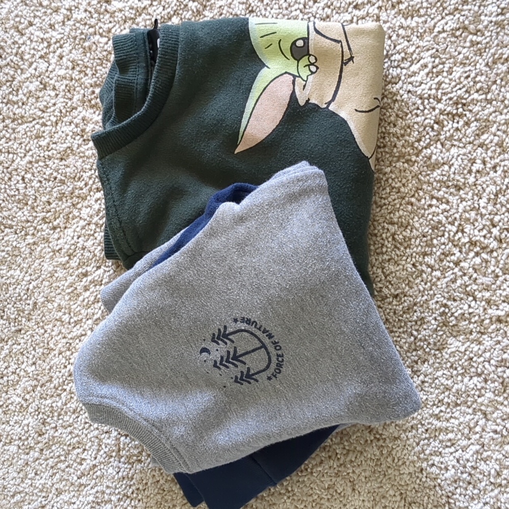 Two Toddlers Pull-Over Sweatshirts